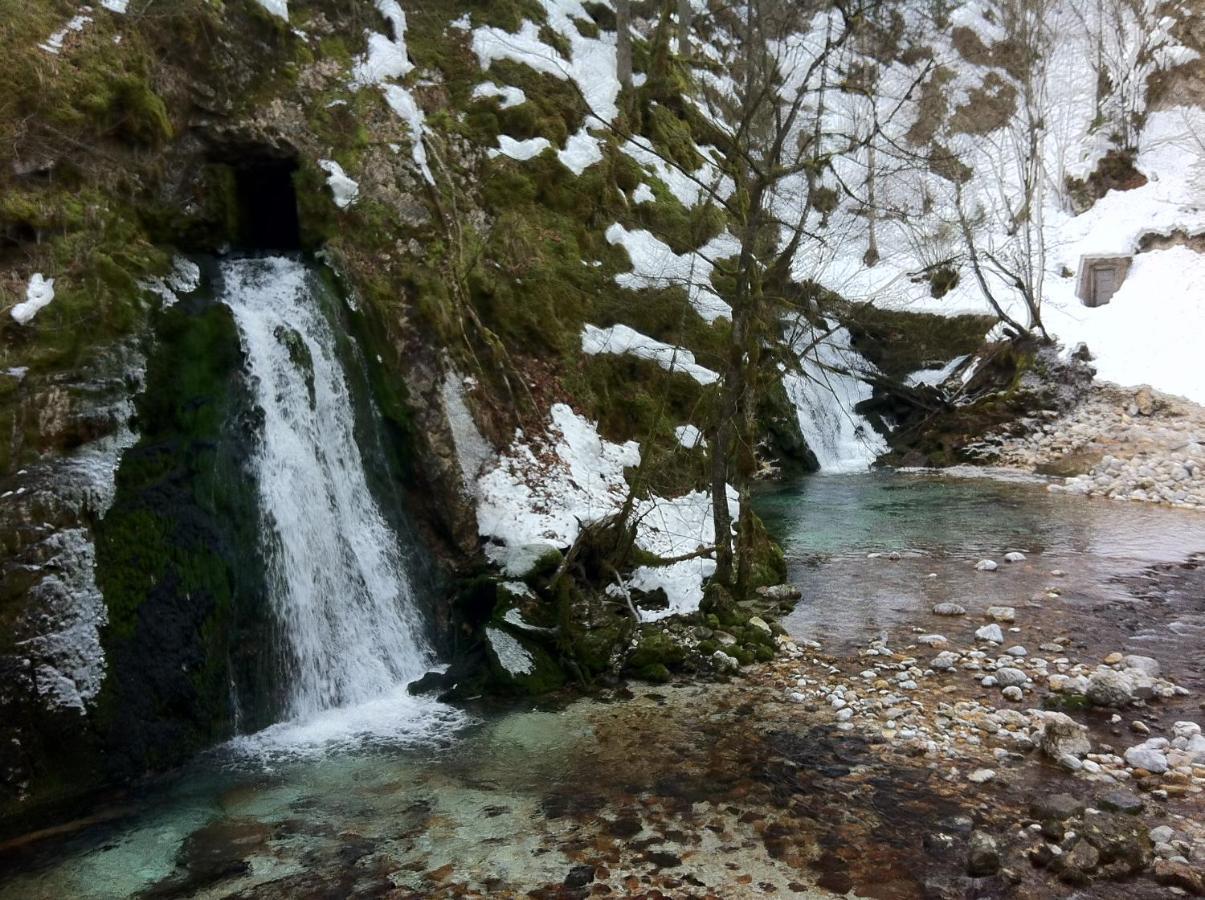 Apartmán Bistrica 1 Bohinj Exteriér fotografie
